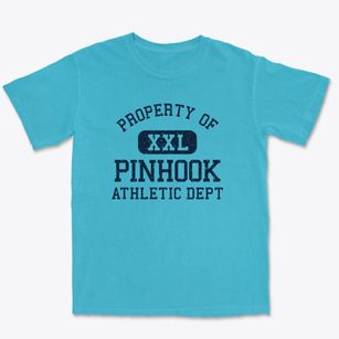 Pinhook Missouri Athletic Dept Premium Heavyweight T-shirt
