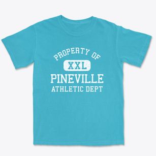Pineville Arkansas Athletic Dept Premium Heavyweight T-shirt