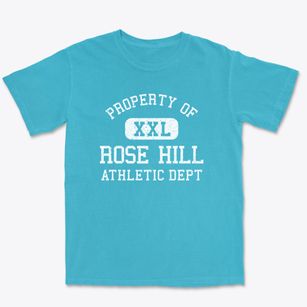 Rose Hill Illinois Athletic Dept Premium Heavyweight T-shirt