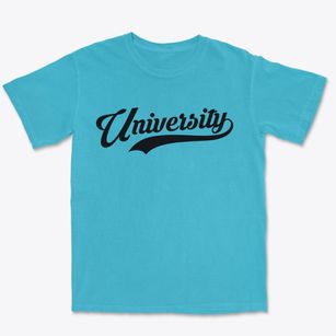 University Mississippi Vintage Team Premium Heavyweight T-shirt