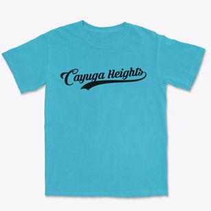 Cayuga Heights New York Vintage Team Premium Heavyweight T-shirt