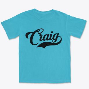 Craig Missouri Vintage Team Premium Heavyweight T-shirt