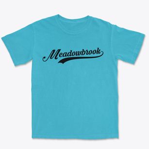 Meadowbrook Alabama Vintage Team Premium Heavyweight T-shirt