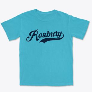 Roxbury New York Vintage Team Premium Heavyweight T-shirt