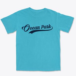 Ocean Park Washington Vintage Team Premium Heavyweight T-shirt