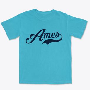 Ames Nebraska Vintage Team Premium Heavyweight T-shirt