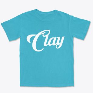 Clay Pennsylvania Vintage Team Premium Heavyweight T-shirt