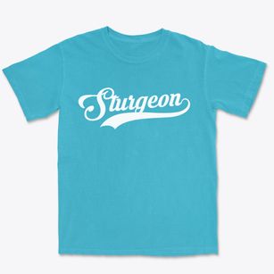 Sturgeon Pennsylvania Vintage Team Premium Heavyweight T-shirt