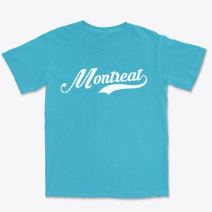 Montreat North Carolina Vintage Team Premium Heavyweight T-shirt