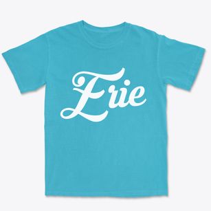 Erie Pennsylvania Vintage Team Premium Heavyweight T-shirt