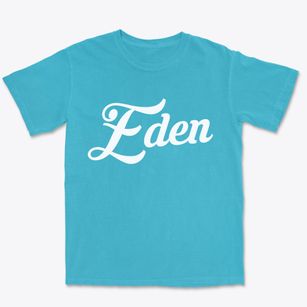 Eden North Carolina Vintage Team Premium Heavyweight T-shirt