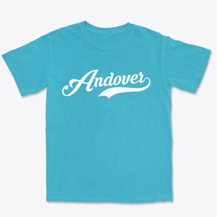Andover Iowa Vintage Team Premium Heavyweight T-shirt