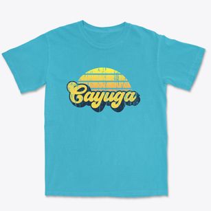 Cayuga New York Sublime Sunset Premium Heavyweight T-shirt