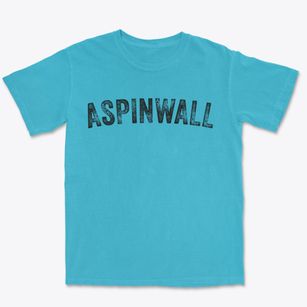 Aspinwall Pennsylvania Timeless Retro Premium Heavyweight T-shirt
