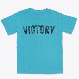 Victory New York Timeless Retro Premium Heavyweight T-shirt