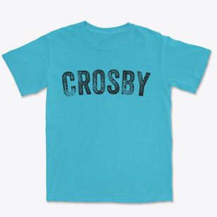 Crosby North Dakota Timeless Retro Premium Heavyweight T-shirt