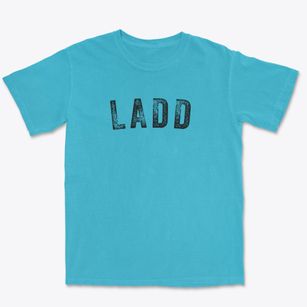 Ladd Illinois Timeless Retro Premium Heavyweight T-shirt