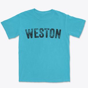 Weston Pennsylvania Timeless Retro Premium Heavyweight T-shirt