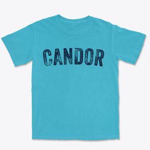 Candor New York Timeless Retro Premium Heavyweight T-shirt