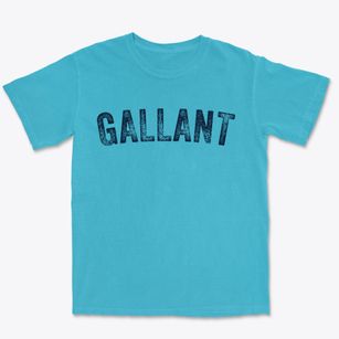 Gallant Alabama Timeless Retro Premium Heavyweight T-shirt