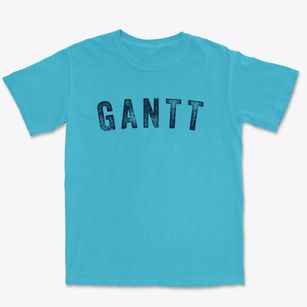 Gantt Alabama Timeless Retro Premium Heavyweight T-shirt