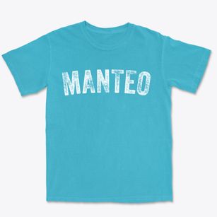 Manteo North Carolina Timeless Retro Premium Heavyweight T-shirt
