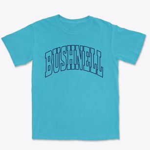 Bushnell Illinois Trendy Block Premium Heavyweight T-shirt