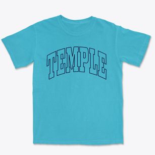 Temple Texas Trendy Block Premium Heavyweight T-shirt