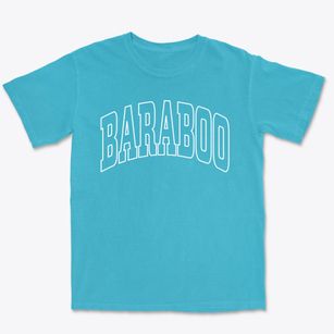 Baraboo Wisconsin Trendy Block Premium Heavyweight T-shirt