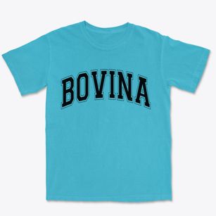 Bovina New York Varsity Premium Heavyweight T-shirt