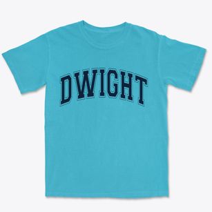 Dwight Illinois Varsity Premium Heavyweight T-shirt