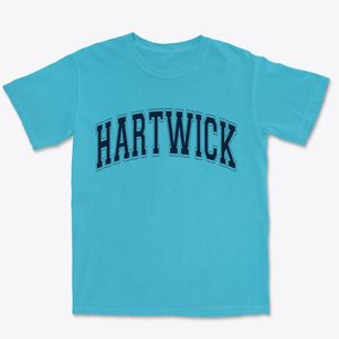 Hartwick New York Varsity Premium Heavyweight T-shirt