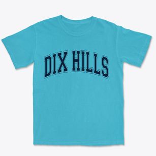 Dix Hills New York Varsity Premium Heavyweight T-shirt