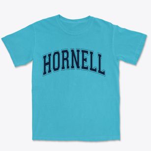 Hornell New York Varsity Premium Heavyweight T-shirt