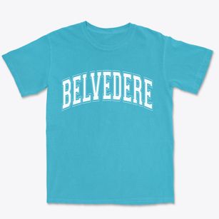 Belvedere South Carolina Varsity Premium Heavyweight T-shirt