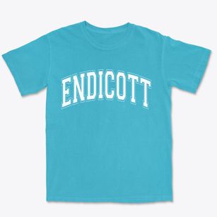 Endicott Washington Varsity Premium Heavyweight T-shirt