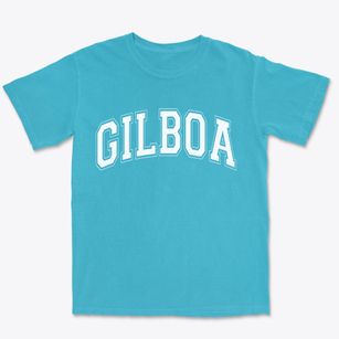 Gilboa Ohio Varsity Premium Heavyweight T-shirt