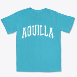 Aquilla Texas Varsity Premium Heavyweight T-shirt