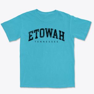 Etowah Tennessee Urban Vibe Premium Heavyweight T-shirt