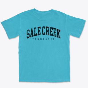 Sale Creek Tennessee Urban Vibe Premium Heavyweight T-shirt