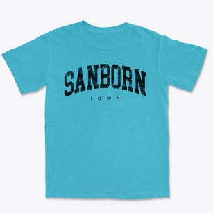 Sanborn Iowa Urban Vibe Premium Heavyweight T-shirt
