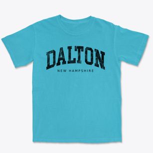 Dalton New Hampshire Urban Vibe Premium Heavyweight T-shirt