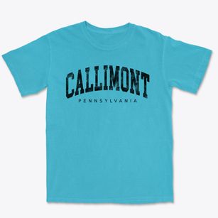 Callimont Pennsylvania Urban Vibe Premium Heavyweight T-shirt