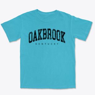 Oakbrook Kentucky Urban Vibe Premium Heavyweight T-shirt