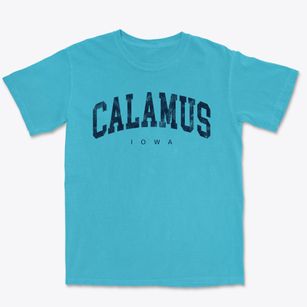 Calamus Iowa Urban Vibe Premium Heavyweight T-shirt