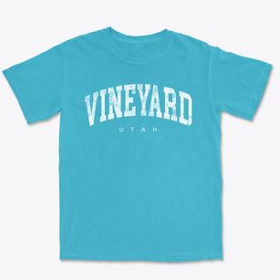 Vineyard Utah Urban Vibe Premium Heavyweight T-shirt
