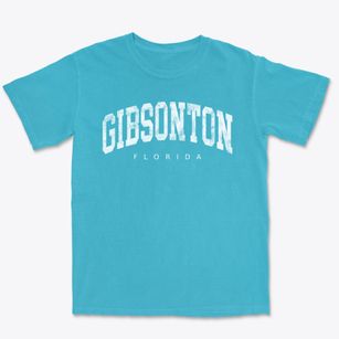 Gibsonton Florida Urban Vibe Premium Heavyweight T-shirt
