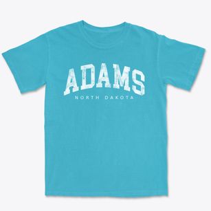 Adams North Dakota Urban Vibe Premium Heavyweight T-shirt