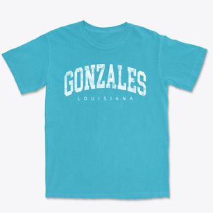 Gonzales Louisiana Urban Vibe Premium Heavyweight T-shirt