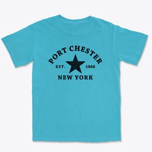 Port Chester New York Star Premium Heavyweight T-shirt